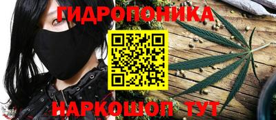 каннабис Кингисепп